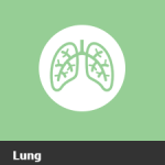 lung